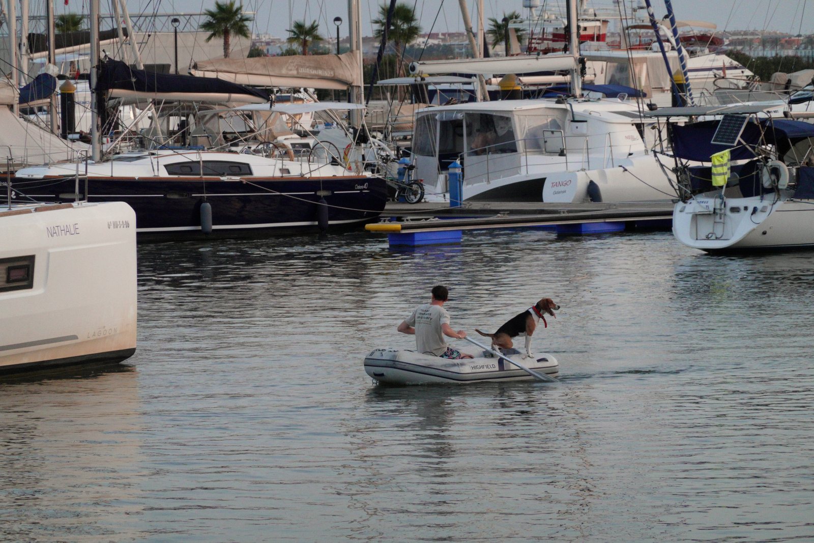 Ayamonte, Andalusia, Spain, 16 August at 20:16