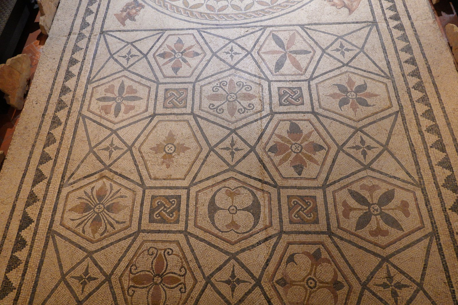 Museu Municipal de Faro, Faro, Portugal, 18 August at 12:31